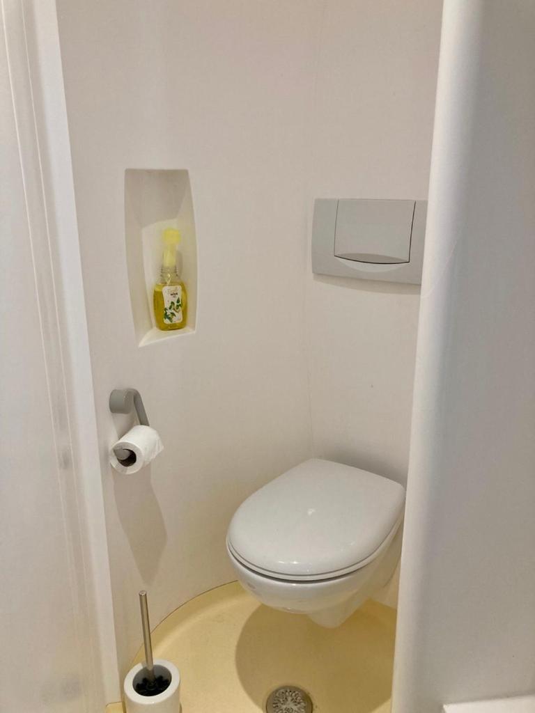 Charmant Studio Terrasse 25Min Aeroport Cdg Сен-Брис-су-Форе Экстерьер фото