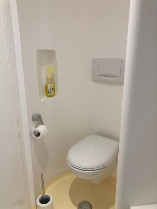 Charmant Studio Terrasse 25Min Aeroport Cdg Сен-Брис-су-Форе Экстерьер фото